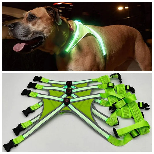 arnes para perro led