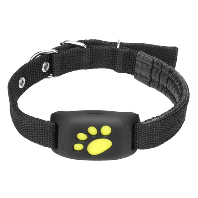 collar gps para perro