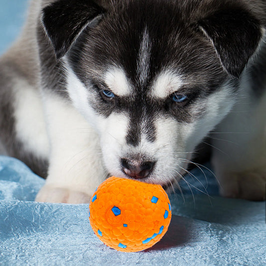 Pelota interactiva indestructible