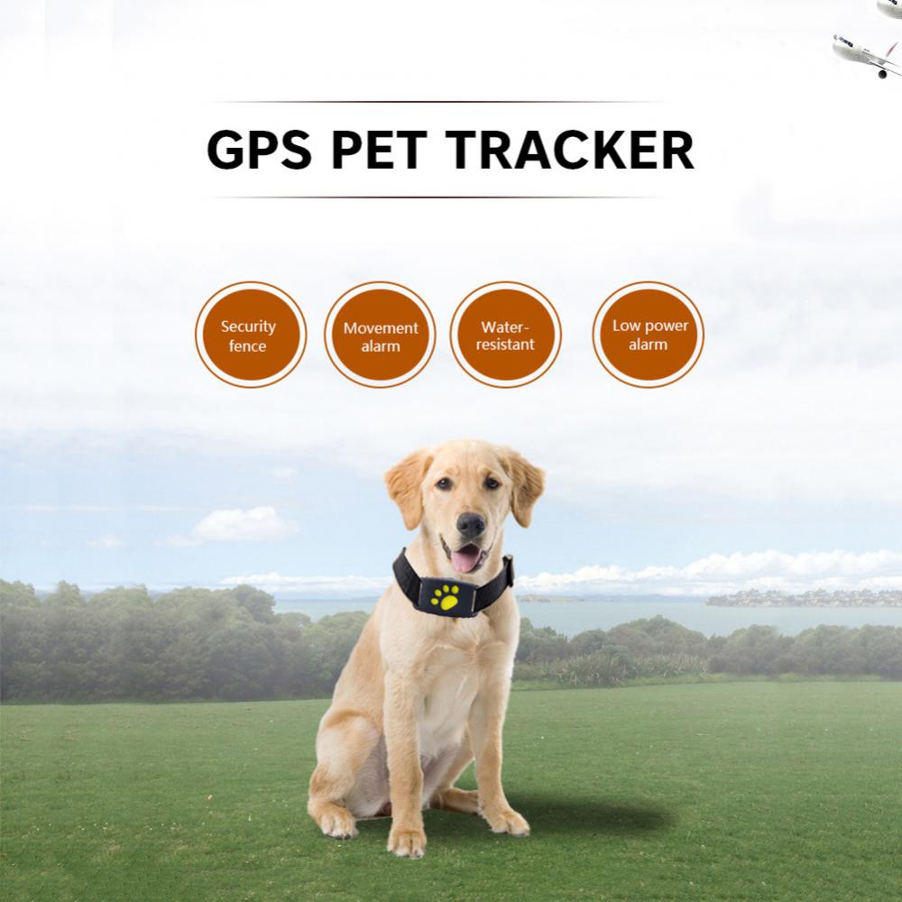 collar gps para perro