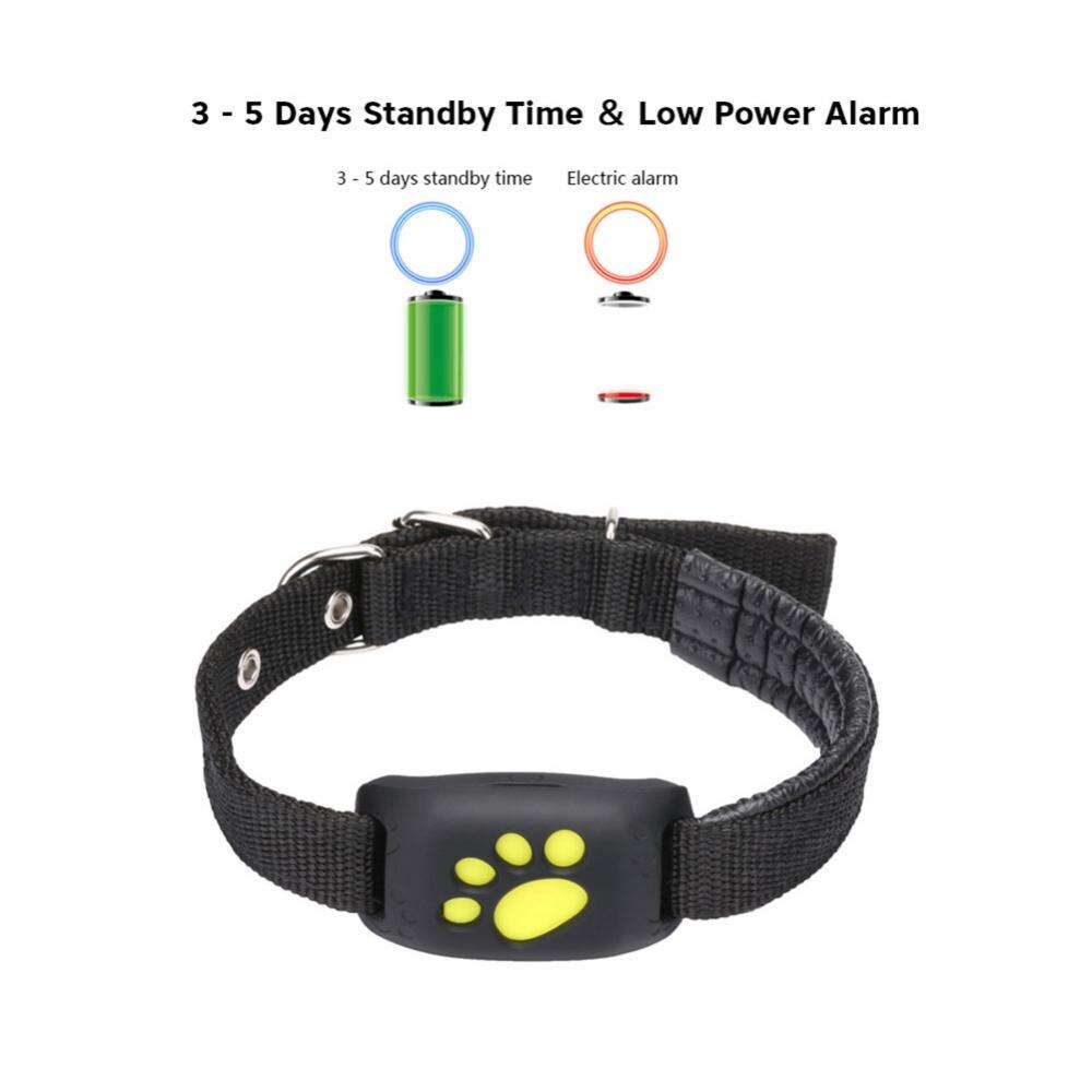 collar gps para perro