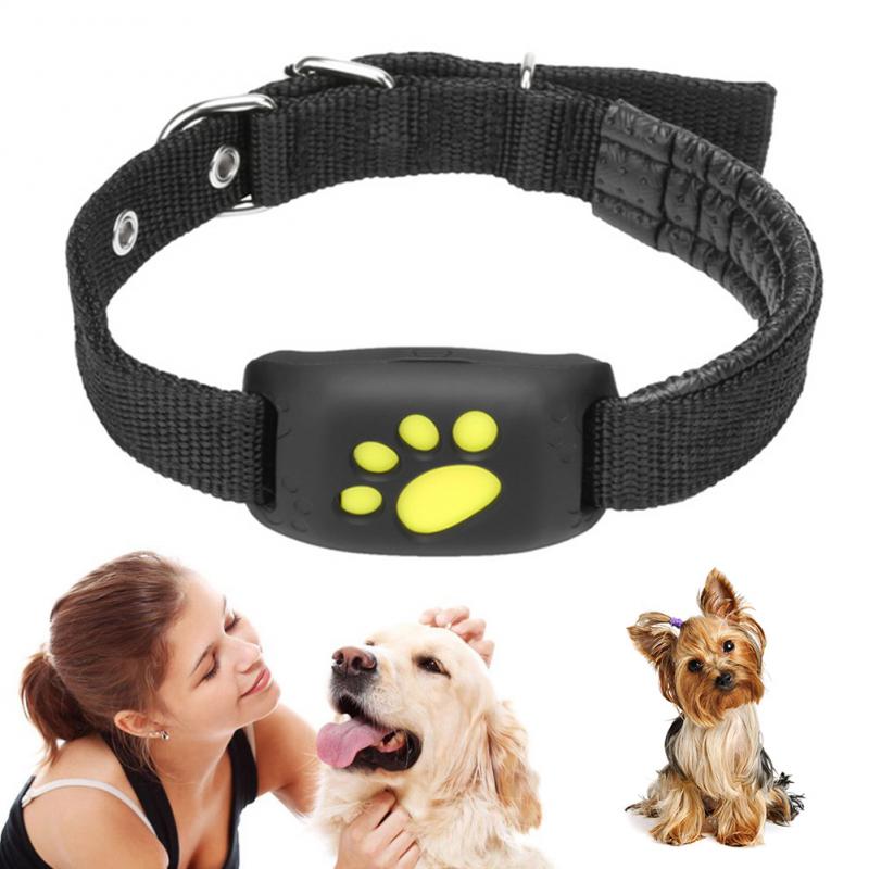 collar gps para perro